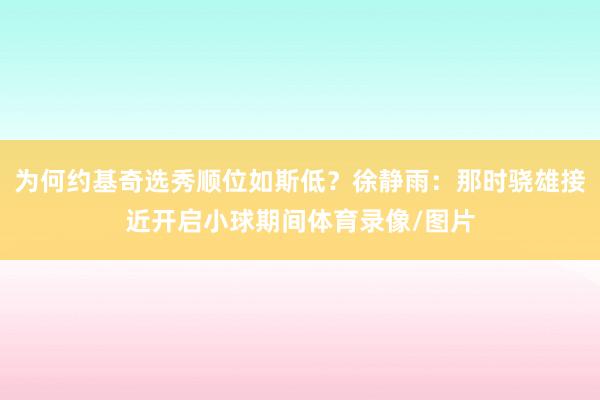 为何约基奇选秀顺位如斯低？徐静雨：那时骁雄接近开启小球期间体育录像/图片
