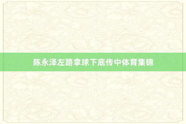 陈永泽左路拿球下底传中体育集锦