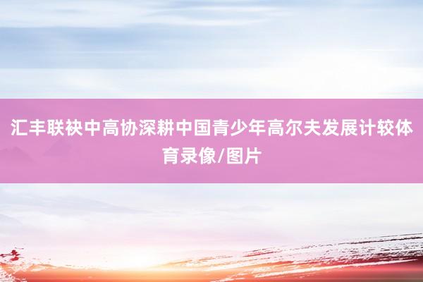 汇丰联袂中高协深耕中国青少年高尔夫发展计较体育录像/图片
