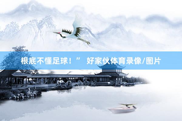 根底不懂足球！”  好家伙体育录像/图片