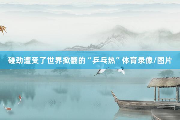 碰劲遭受了世界掀翻的“乒乓热”体育录像/图片