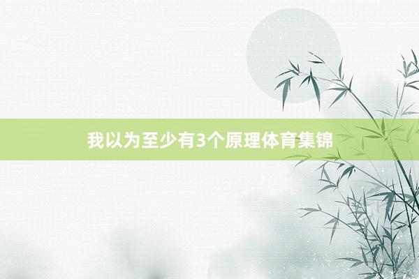 我以为至少有3个原理体育集锦