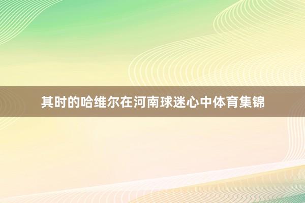 其时的哈维尔在河南球迷心中体育集锦