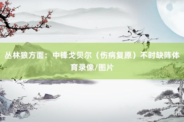 丛林狼方面：中锋戈贝尔（伤病复原）不时缺阵体育录像/图片